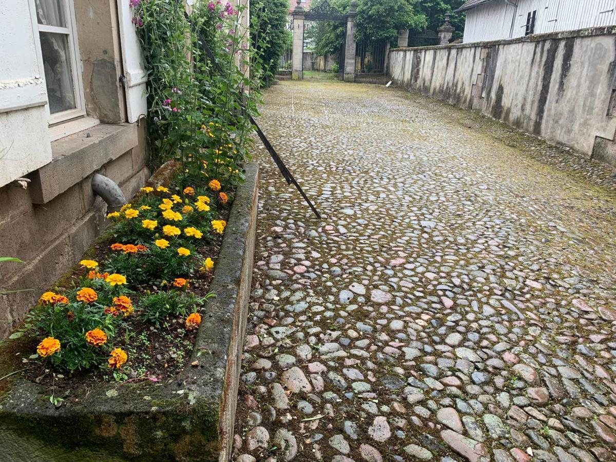 Les Jardins D'Elise, Calme Et Verdure A Lure لور المظهر الخارجي الصورة